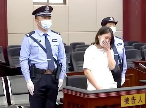 宣判视频,案件审理全过程深度解析