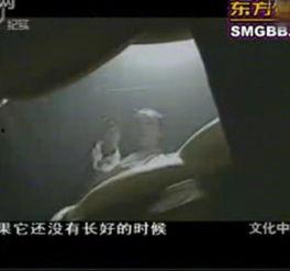 看男子除宫刑的视频,男子受刑全过程震撼呈现