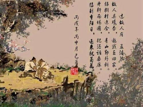 过故人庄视频,重温过故人庄的温馨回忆