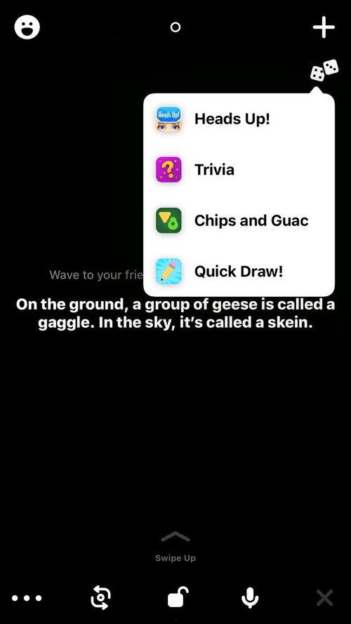 外国在线视频聊天网站,互动新纪元